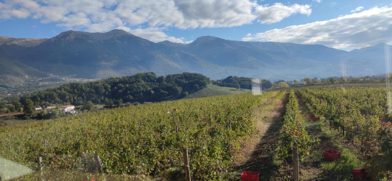 Vigna Al Parco Aparthotel Alvito Kültér fotó