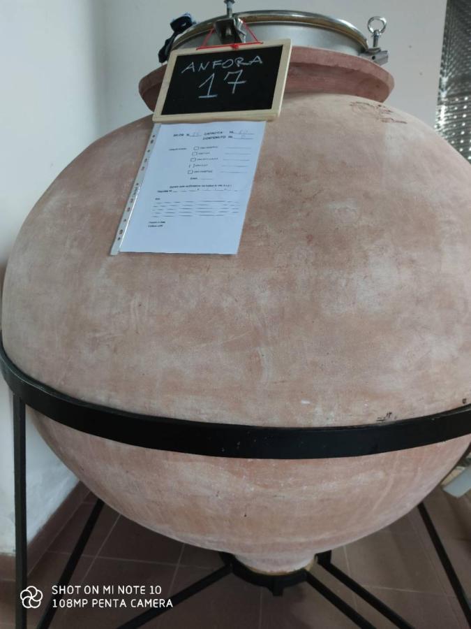 Vigna Al Parco Aparthotel Alvito Kültér fotó
