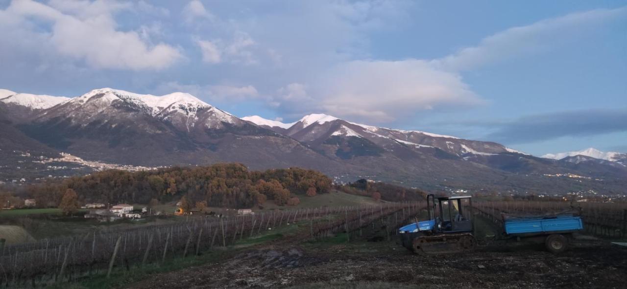 Vigna Al Parco Aparthotel Alvito Kültér fotó